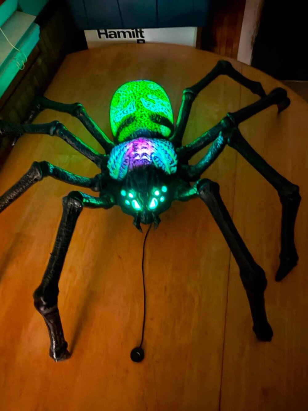 Home Accents Home Depot Holiday Halloween LED Poseable Spider 1015113504